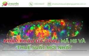 Nhập Khẩu Đá Opal Chính Ngạch - Khai báo hải quan Lê Nguyễn