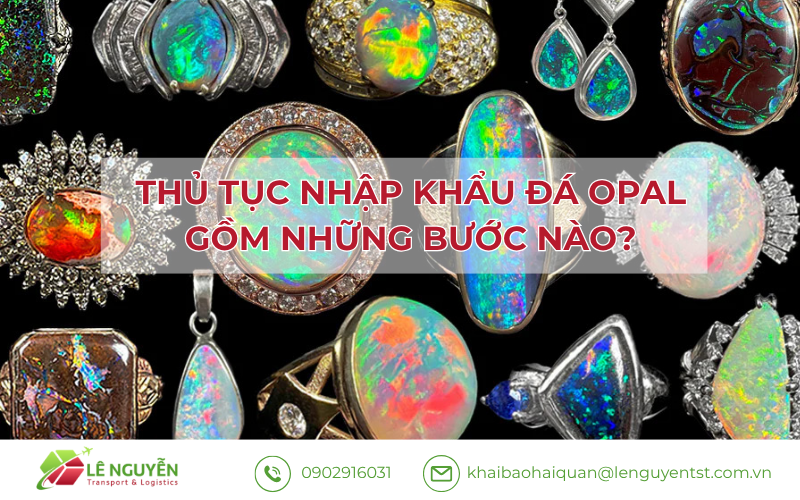 Thủ Tục Nhập Khẩu Đá Opal Gồm Những Bước Nào?